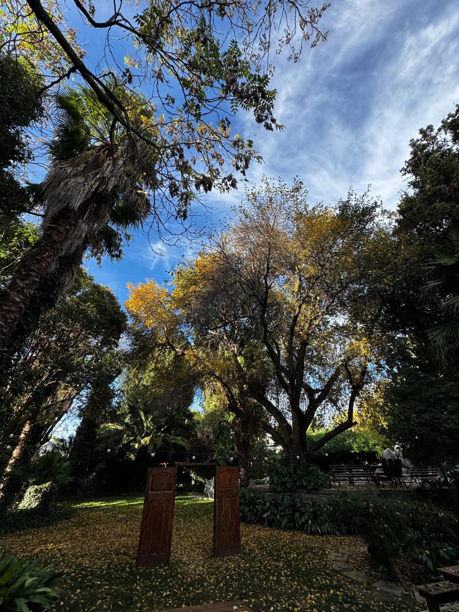 The Palms Venue & Accommodation Cradock Esterno foto